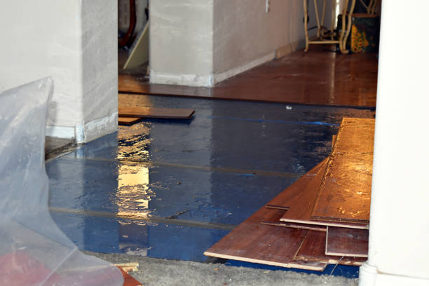 Professional Basement Water Removal technician working in Melville, NY